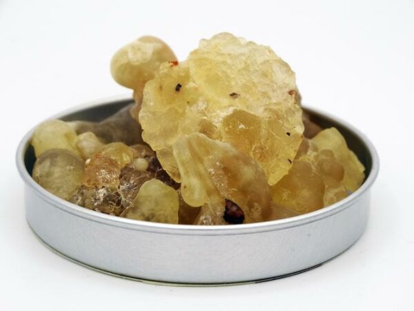 Frankincense Oman green, 50g harvested in 2023